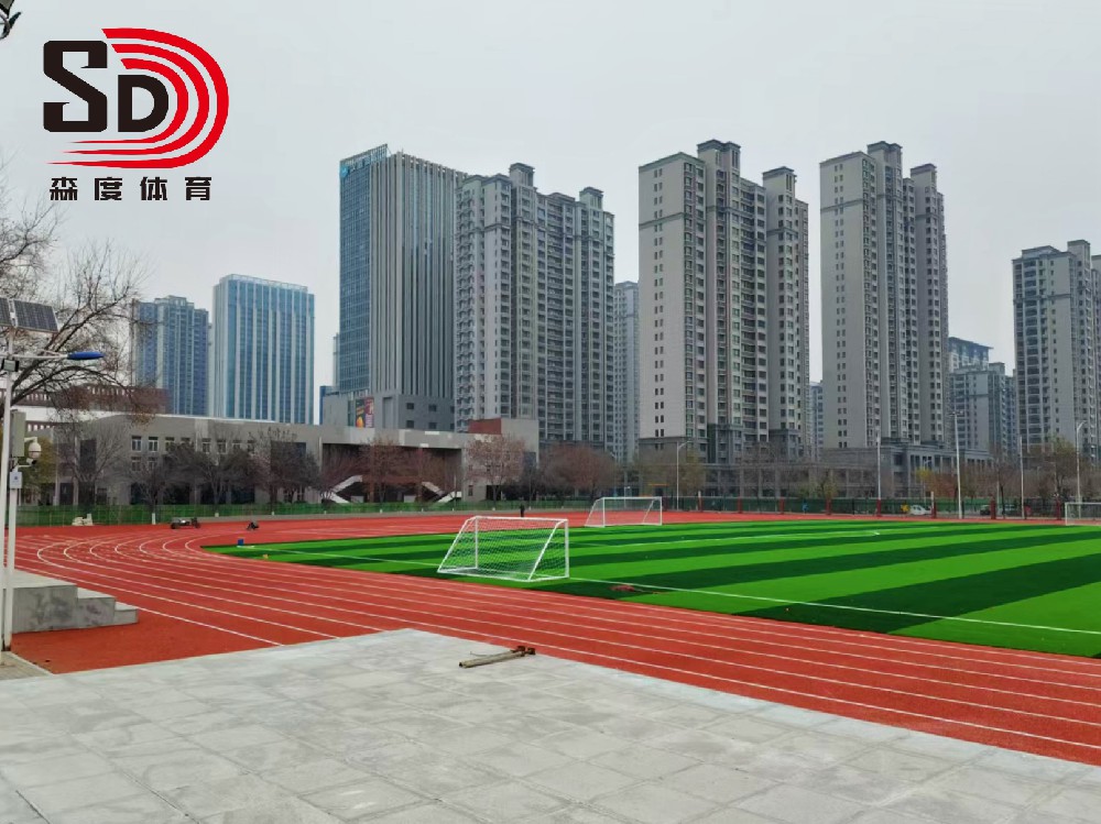 新乡河师大附属外国语学校 | 混合型跑道